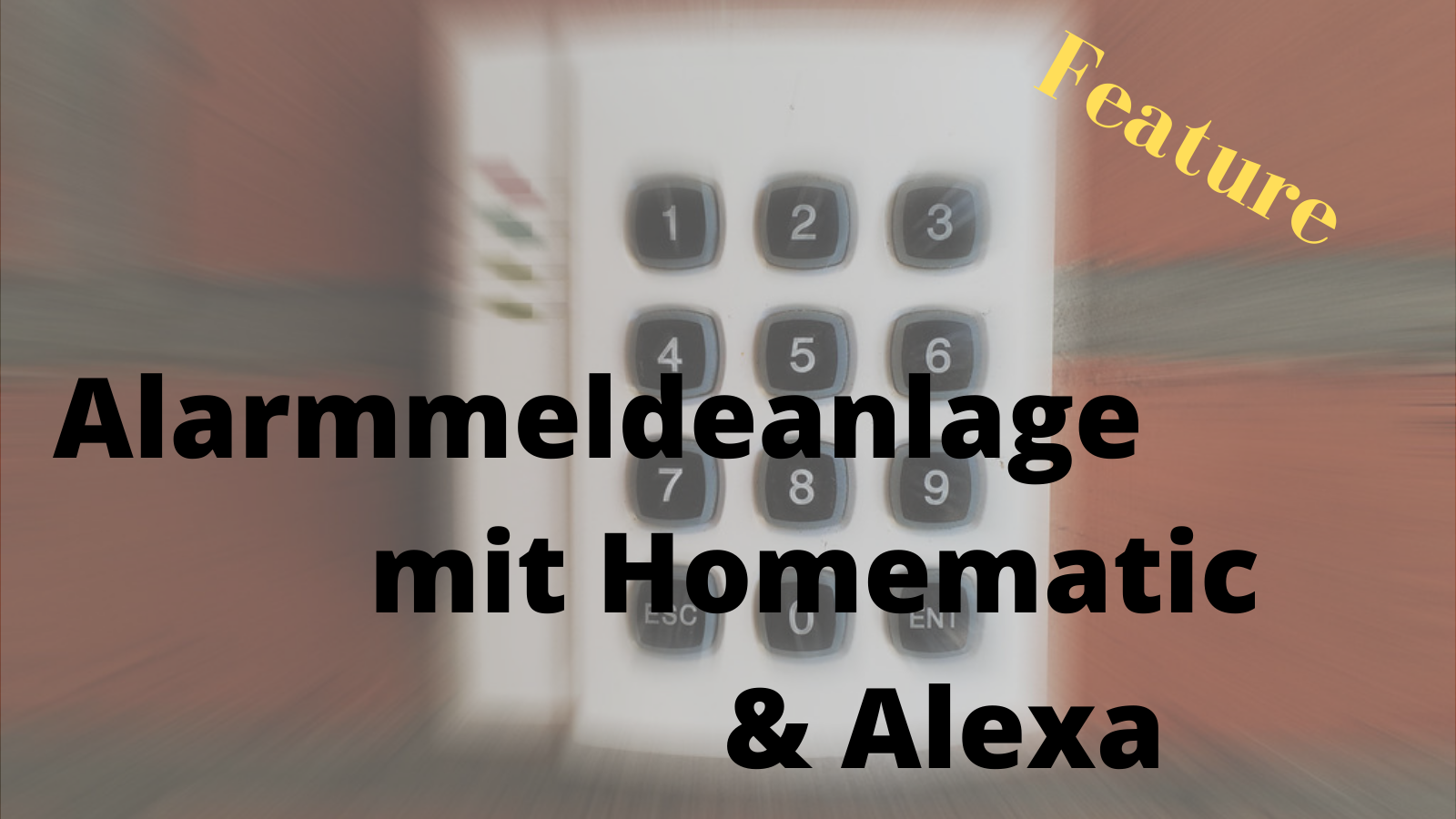 Alarmmeldeanlage mit Homematic und Alexa